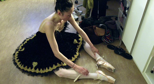 Maiko ふたたびの白鳥 3枚目の写真・画像