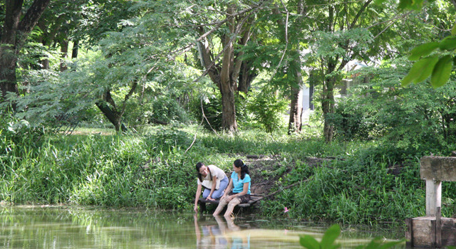 世紀の光 2枚目の写真・画像
