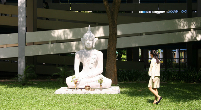 世紀の光 10枚目の写真・画像