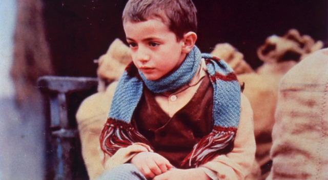 木靴の樹 1枚目の写真・画像