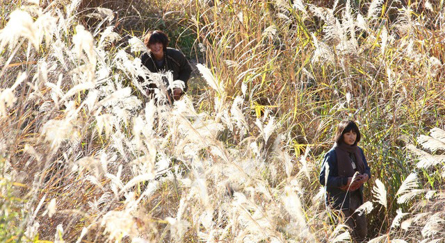 太陽 3枚目の写真・画像