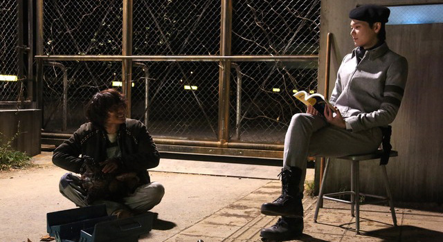 太陽 6枚目の写真・画像