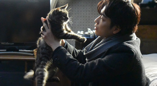 世界から猫が消えたなら 5枚目の写真・画像