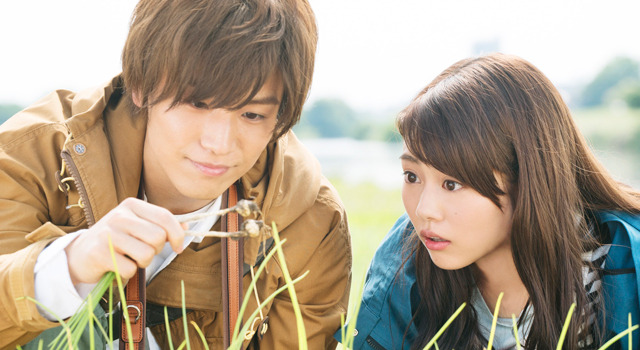 植物図鑑　運命の恋、ひろいました 2枚目の写真・画像