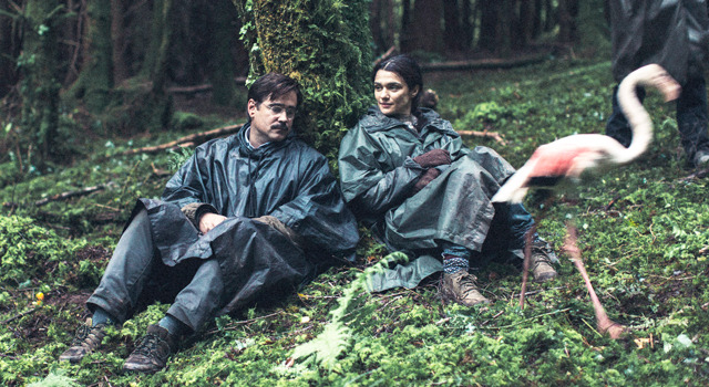 ロブスター 2枚目の写真・画像