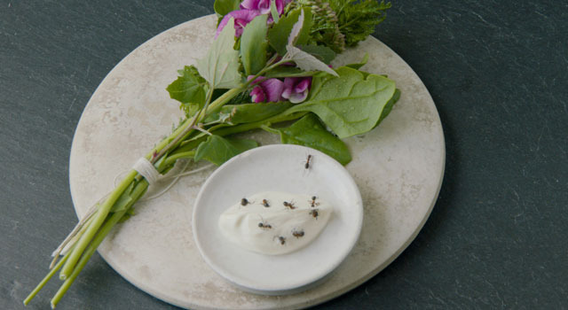 Photo by Pierre Deschamps ©2015 DOCUMENTREE FILMS LTD