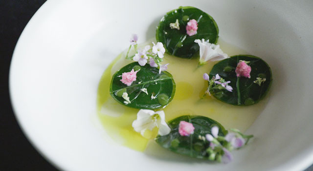 Photo by Pierre Deschamps ©2015 DOCUMENTREE FILMS LTD