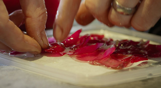 Photo by Pierre Deschamps ©2015 DOCUMENTREE FILMS LTD