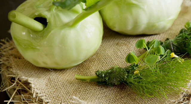 Photo by Pierre Deschamps ©2015 DOCUMENTREE FILMS LTD