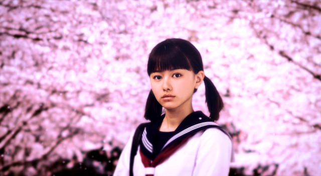 桜ノ雨 1枚目の写真・画像
