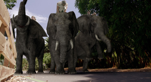 ZOOMBIE　ズーンビ 2枚目の写真・画像