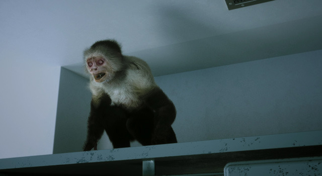 ZOOMBIE　ズーンビ 4枚目の写真・画像