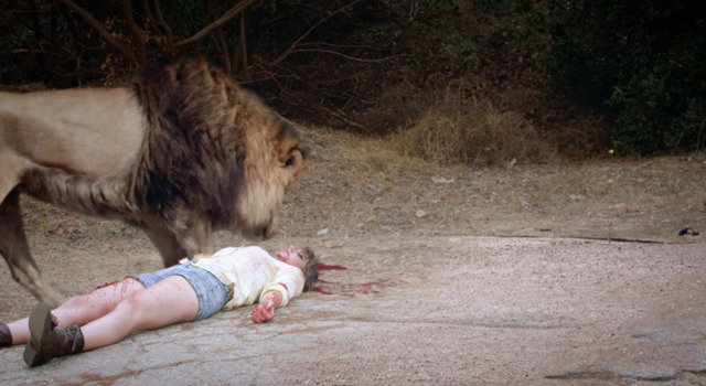 ZOOMBIE　ズーンビ 6枚目の写真・画像