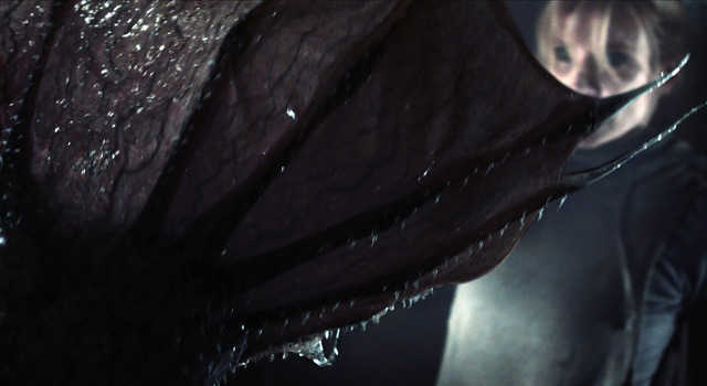 X-コンタクト 6枚目の写真・画像