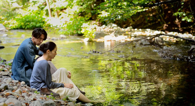 アルビノの木 1枚目の写真・画像