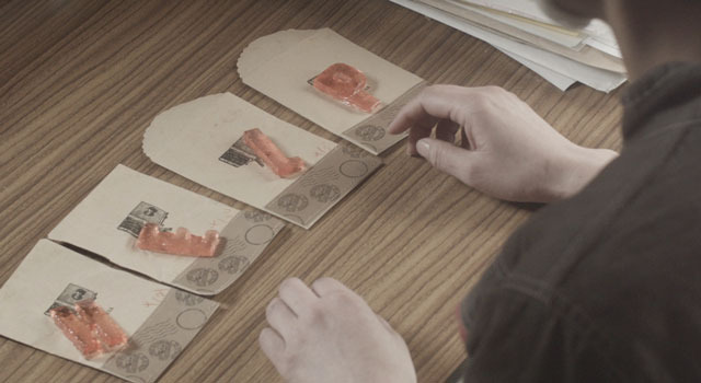 アルビノ 8枚目の写真・画像