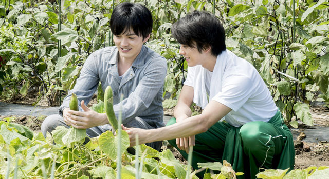 にがくてあまい 4枚目の写真・画像