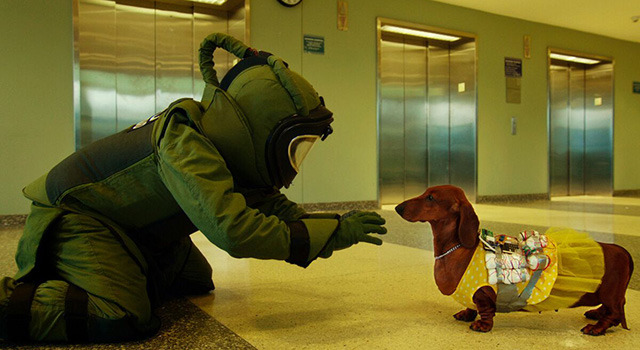 トッド・ソロンズの子犬物語 1枚目の写真・画像