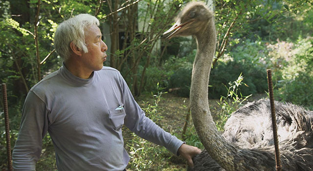 残されし大地 3枚目の写真・画像