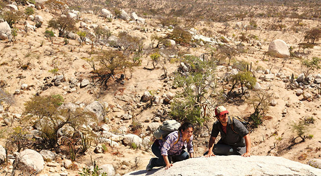 ノー・エスケープ　自由への国境 3枚目の写真・画像