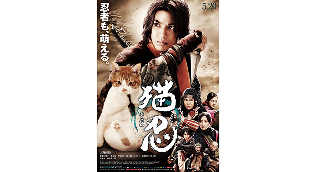 猫忍 1枚目の写真・画像