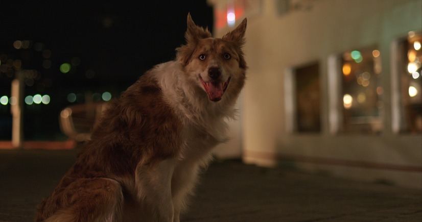 ロスト・イン・パリ 3枚目の写真・画像