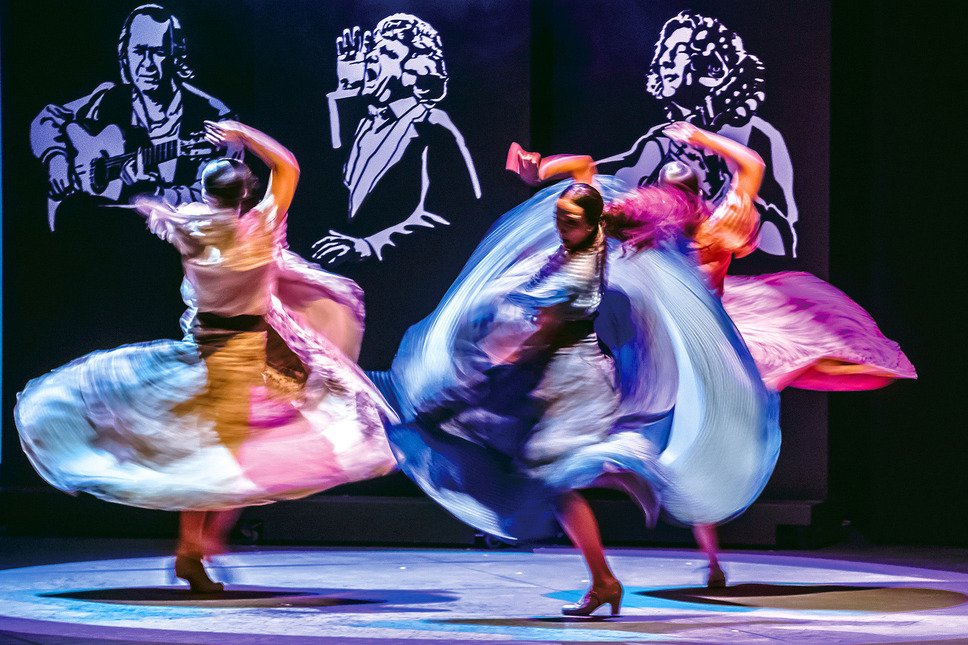 パッション・フラメンコ 2枚目の写真・画像