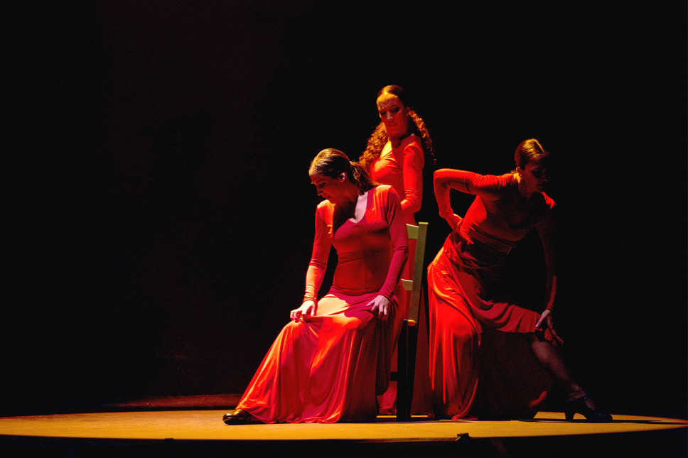 パッション・フラメンコ 3枚目の写真・画像