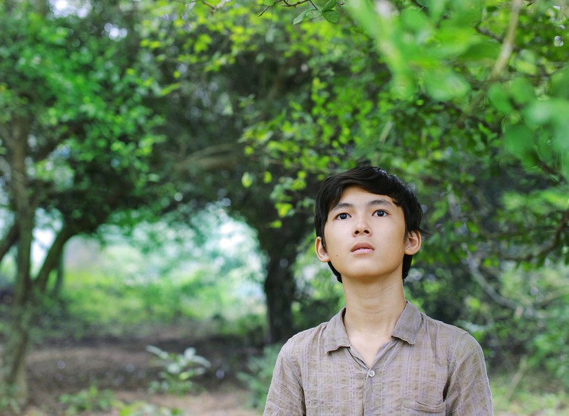 草原に黄色い花を見つける 1枚目の写真・画像