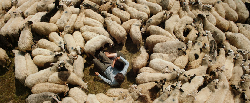 オン・ザ・ミルキー・ロード 7枚目の写真・画像
