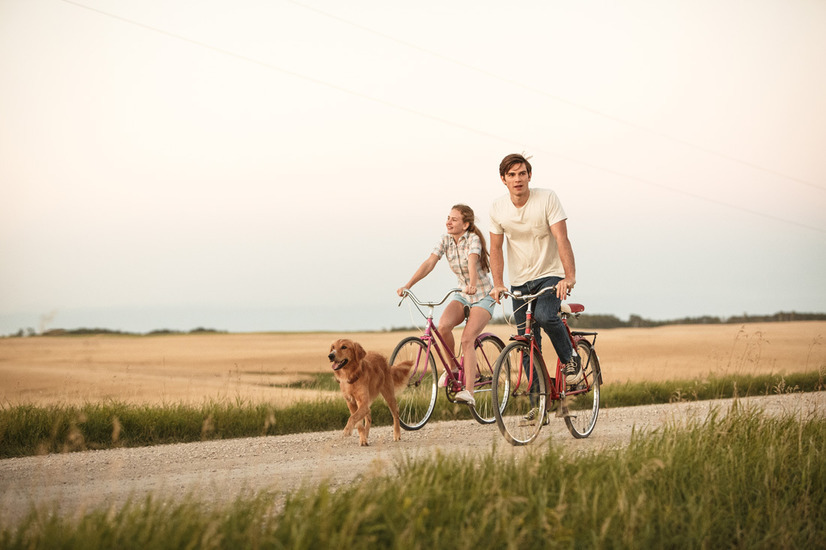 僕のワンダフル・ライフ 5枚目の写真・画像