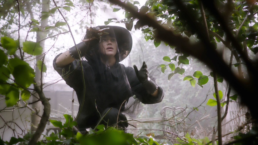 マイ ビューティフル ガーデン 3枚目の写真・画像