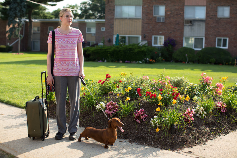 トッド・ソロンズの子犬物語 3枚目の写真・画像