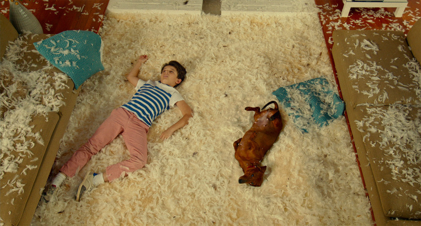 トッド・ソロンズの子犬物語 5枚目の写真・画像