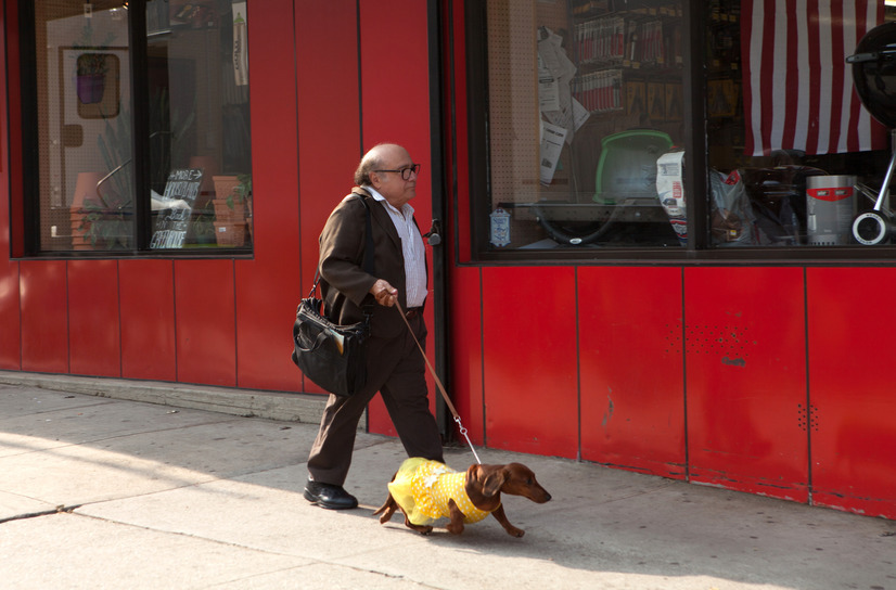 トッド・ソロンズの子犬物語 8枚目の写真・画像