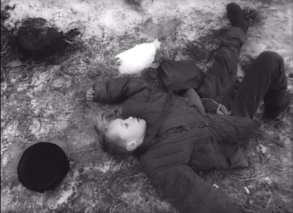 動くな、死ね、甦れ！ 2枚目の写真・画像