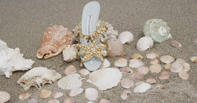 マノロ・ブラニク トカゲに靴を作った少年 9枚目の写真・画像