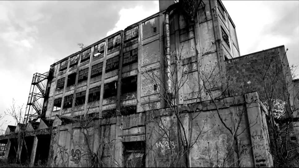 ブルー・バタフライ 7枚目の写真・画像