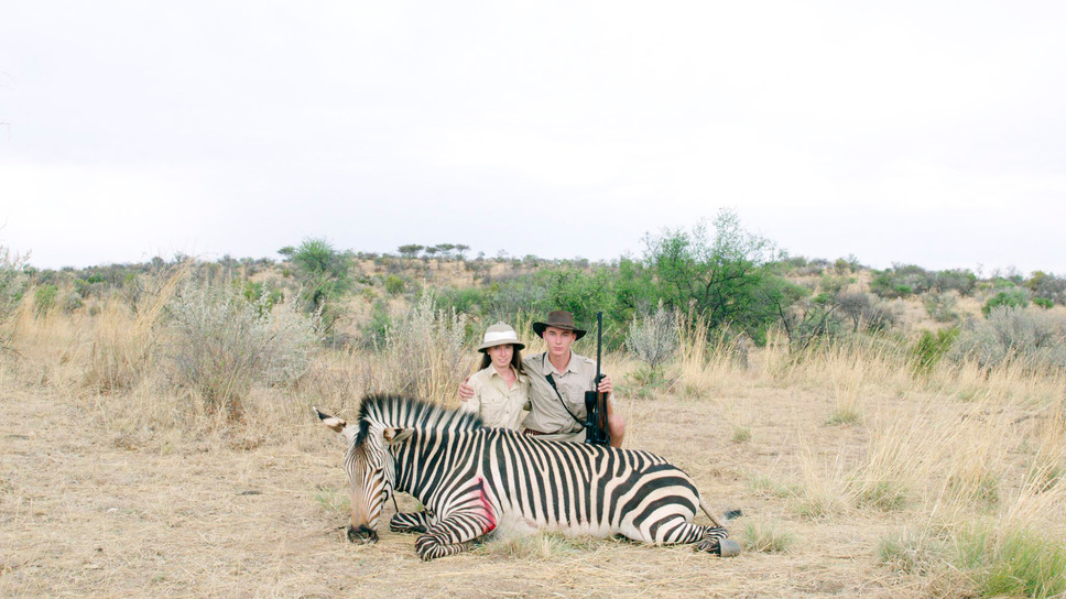 サファリ 1枚目の写真・画像
