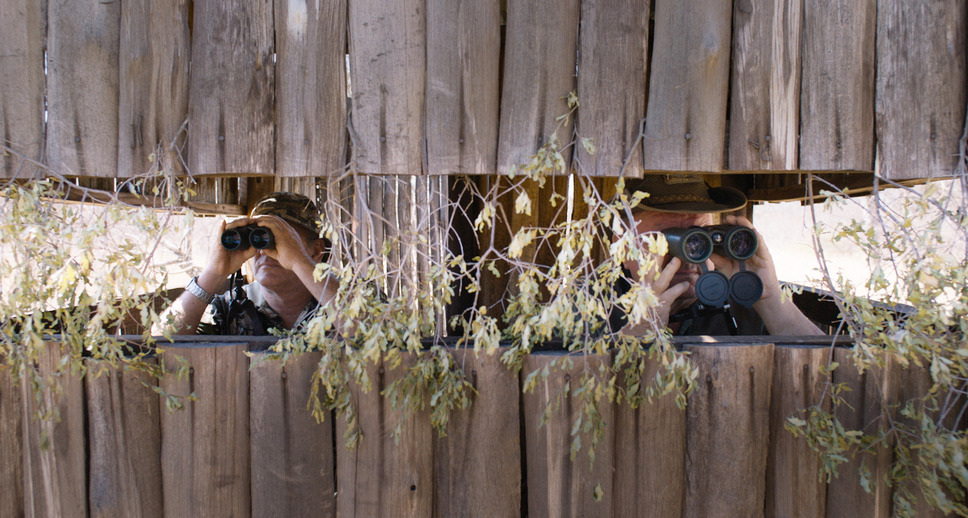 サファリ 7枚目の写真・画像