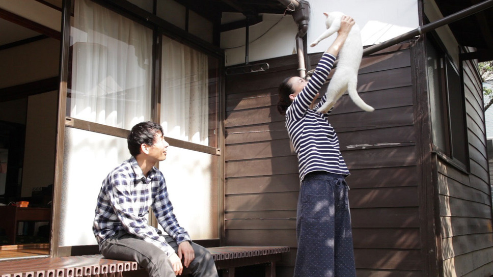 愛しのノラ～幸せのめぐり逢い～ 2枚目の写真・画像