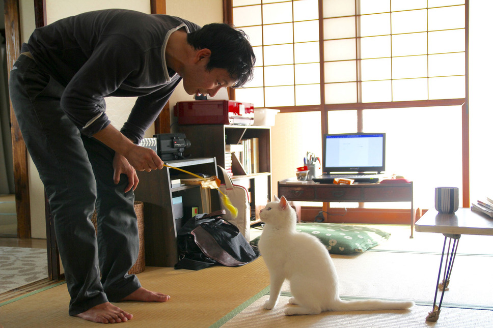 愛しのノラ～幸せのめぐり逢い～ 3枚目の写真・画像