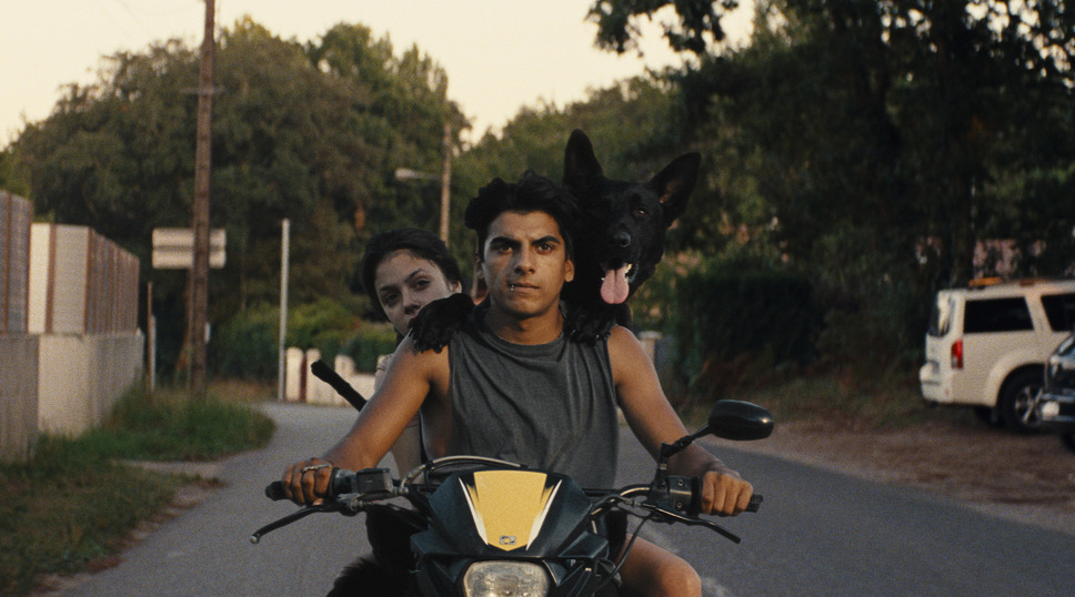 アヴァ 3枚目の写真・画像