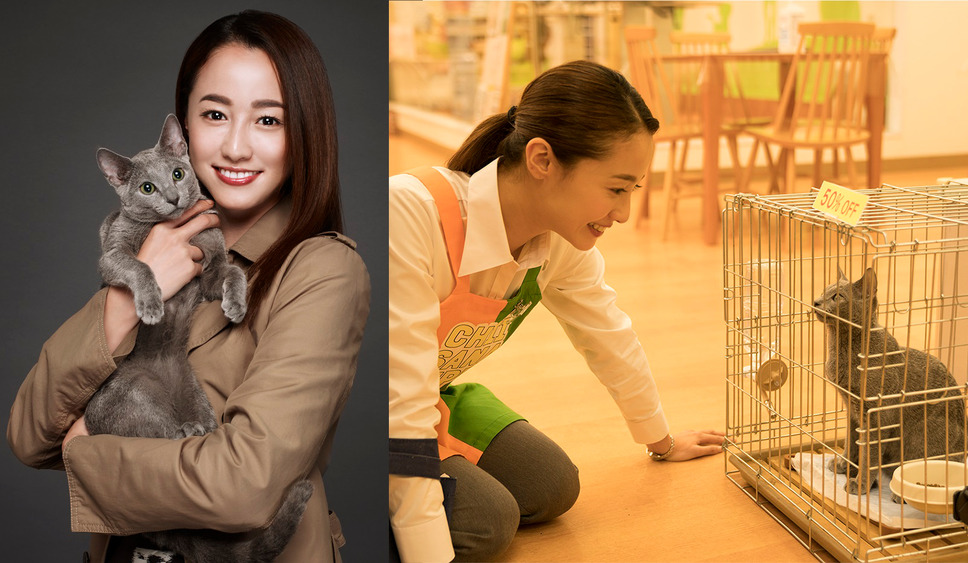 猫は抱くもの 2枚目の写真・画像