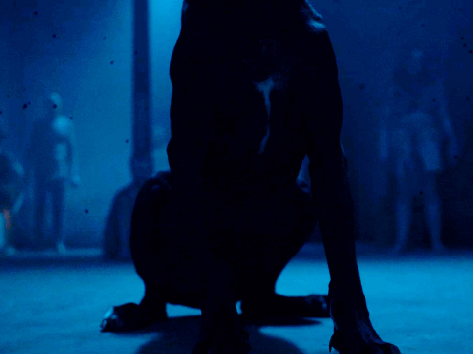 ドント・イット 2枚目の写真・画像