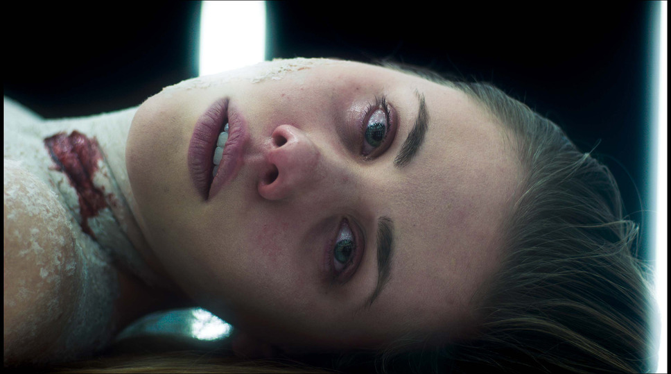 スキン・コレクター 1枚目の写真・画像