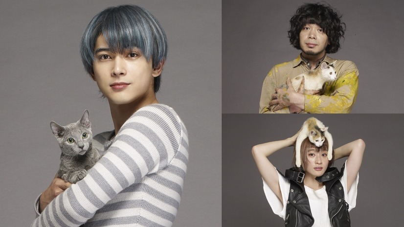 猫は抱くもの 3枚目の写真・画像