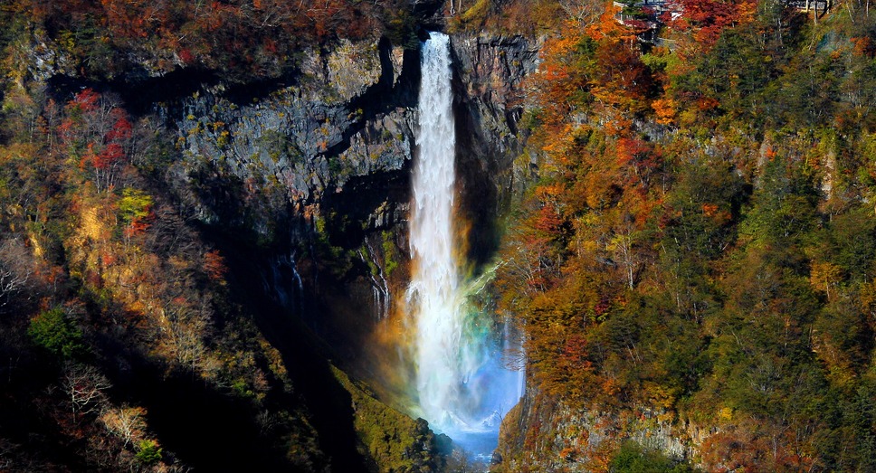 ピース・ニッポン 3枚目の写真・画像