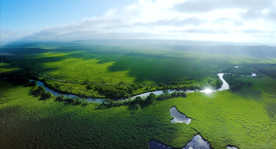 ピース・ニッポン 4枚目の写真・画像
