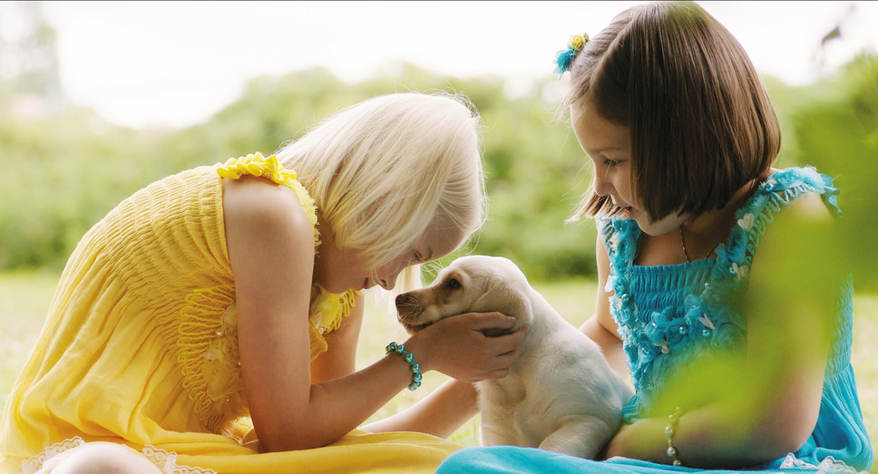 オンネリとアンネリのおうち 14枚目の写真・画像